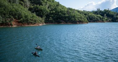 Boy, 5, meets tragic end after entering lake without life jacket