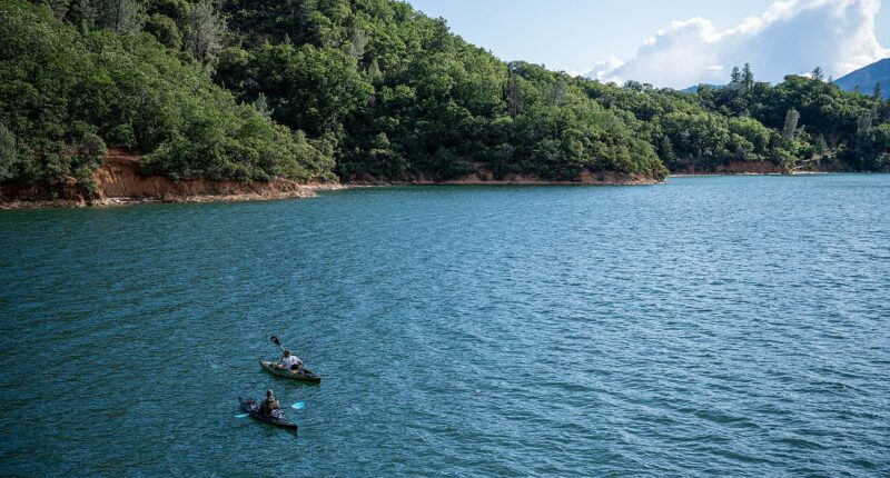Boy, 5, meets tragic end after entering lake without life jacket