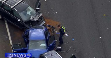 Boy dies days after horror five-car pile up on Melbourne freeway