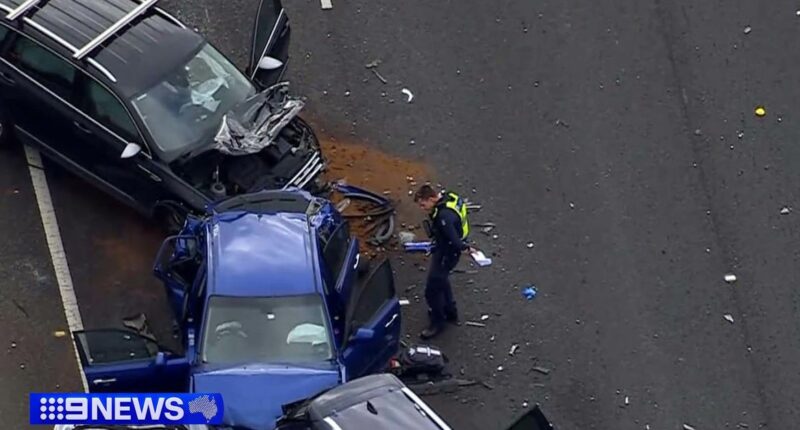 Boy dies days after horror five-car pile up on Melbourne freeway