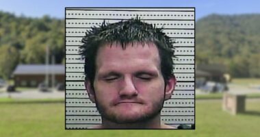 Boyfriend arrested after woman stabbed to death: Police