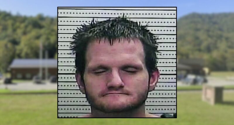 Boyfriend arrested after woman stabbed to death: Police