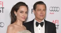 Brad Pitt fights Angelina Jolie's push to delay $164m winery trial
