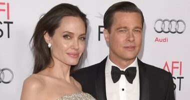 Brad Pitt fights Angelina Jolie's push to delay $164m winery trial