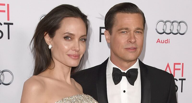 Brad Pitt fights Angelina Jolie's push to delay $164m winery trial