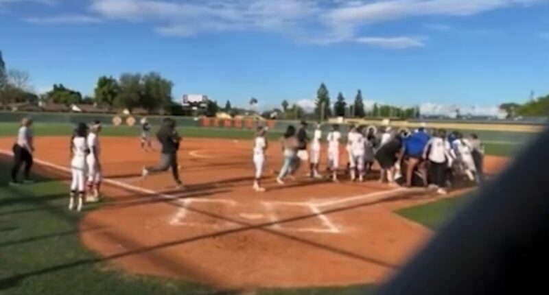Brawl breaks out at softball game between Clovis High and Central East High in California