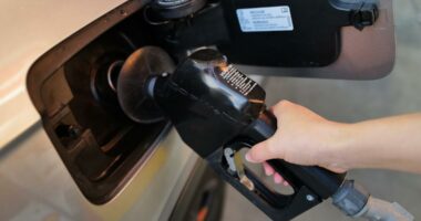 Brent crude tops $125 a barrel on Iran war worries, while world stocks retreat