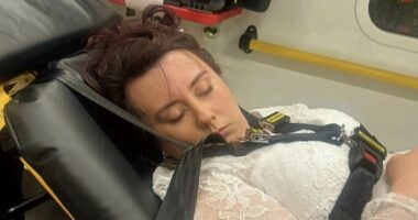 Bride ended up an ambulance after getting drunk on her wedding day