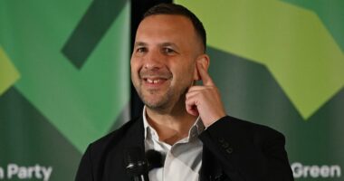 Britain's population 'would skyrocket to 4.4 MILLION under the Greens'