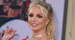 Britney Spears checks herself into rehab weeks after DUI arrest