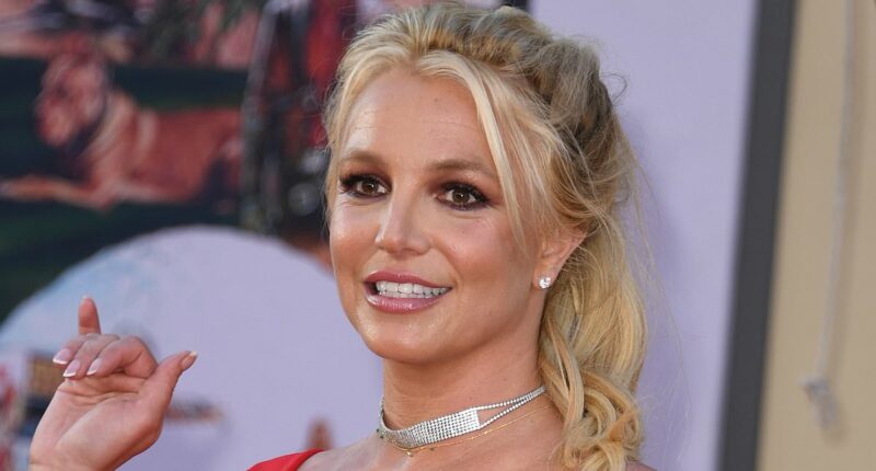 Britney Spears checks herself into rehab weeks after DUI arrest
