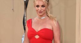 Britney Spears enters substance abuse treatment facility weeks after her arrest on suspicion of DUI