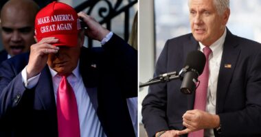 Bruce Blakeman takes page out of MAGA playbook and vows to 'Make New Yorkers Happy Again' as governor