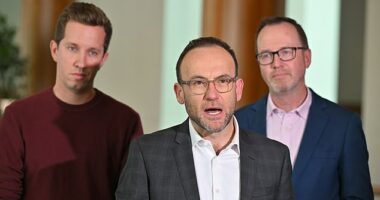 Ahead of the Budget delivery on Tuesday evening, Greens housing spokesman Max Chandler-Mather slammed the $9.3billion surplus as evidence of 'how little Labor cares about the housing crisis'