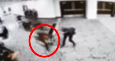 Bullet that hit Secret Service agent at White House Correspondents' Dinner 'was deflected by his PHONE'