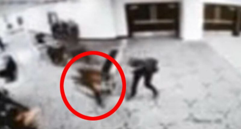 Bullet that hit Secret Service agent at White House Correspondents' Dinner 'was deflected by his PHONE'