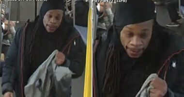Bully who beat NYC subway rider while shouting homophobic slurs busted trying to beat fare: sources