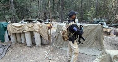 CIA officers killed in Mexico after nation's 'largest ever drug bust'