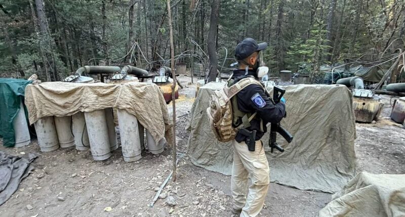 CIA officers killed in Mexico after nation's 'largest ever drug bust'