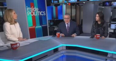 CNN raises alarm over Democrats' 'big tent' as Michigan Senate candidate embraces hyper woke streamer who 'excused sexual violence'