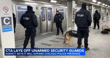 CTA Chicago news: Riders react to CTA plan replacing security guards with police officers