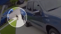 GIF of child being attacked by coyote in Southern California driveway
