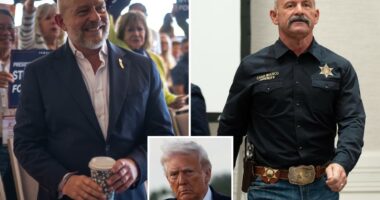 California Republicans risk Trump's wrath as they break ranks over governor's race