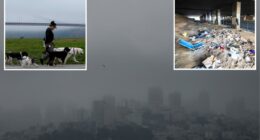 California dominates pollution ratings with eight cities in top 25