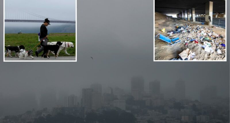 California dominates pollution ratings with eight cities in top 25