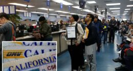 California liberals protest DMV giving driver license data to feds