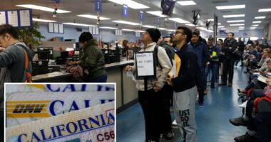 California liberals protest DMV giving driver license data to feds