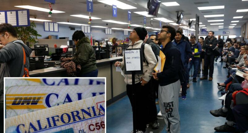 California liberals protest DMV giving driver license data to feds
