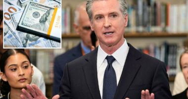 California pays billions for erectile dysfunction and allergies