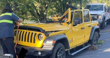 California woman escapes death twice after falling asleep behind the wheel