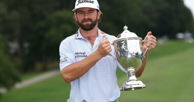 Celebrity Net Worth logo