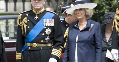 Camilla would 'never' meet Epstein victims during Andrew investigation