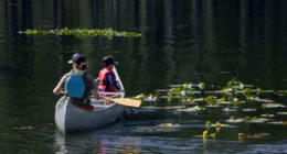 Camp Marin-Sierra: The spirit of scouting 75 years strong
