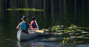 Camp Marin-Sierra: The spirit of scouting 75 years strong