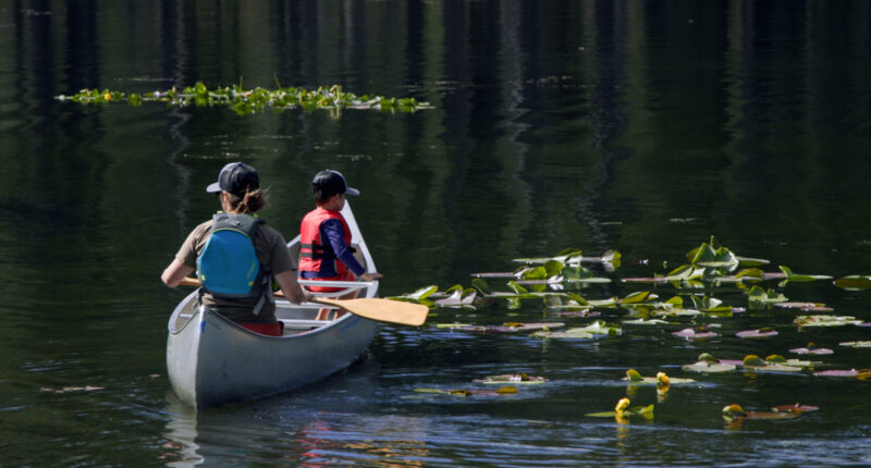 Camp Marin-Sierra: The spirit of scouting 75 years strong