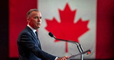 Canadian Prime Minister Mark Carney secures majority government with special election wins
