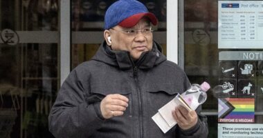 Canadian 'poison killer' linked to 112 deaths in the UK is to avoid a murder trial in plea deal