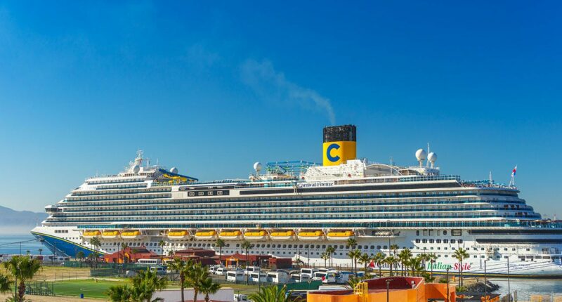 Carnival cruise ship passenger dies after falling from balcony – FBI investigates high-seas horror