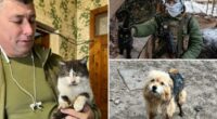 Cat and dog miracle drone rescue in war-torn Ukraine