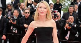Cate Blanchett baffles fans at Cannes Film Festival with statement