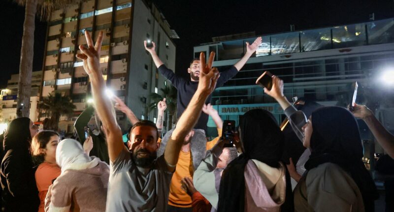 Celebrations in Lebanon as ceasefire with Israel goes into effect