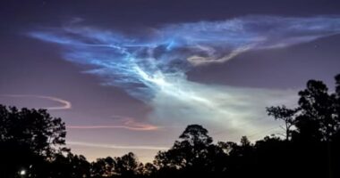 Central Florida is now home to America’s second-most popular city