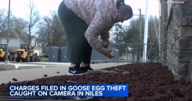 Charges filed by IDNR police after video showed woman illegally taking goose eggs near Golf Mill Mall, Niles police say