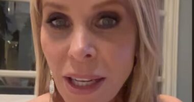 Cheryl Hines lifted over chairs at White House Correspondents' Dinner