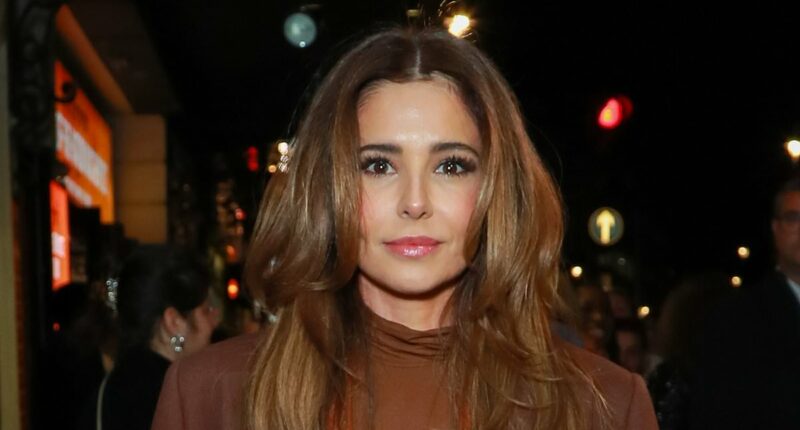 Cheryl's estranged brother Andrew Tweedy is seen 'begging for money'