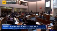 Chicago City Council fails to override Mayor Brandon Johnson veto of minimum wage increase freeze for tipped workers